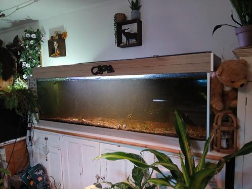 Zeer groot en zwaar aquarium, Dieren en Toebehoren, Vissen | Aquaria en Toebehoren, Zo goed als nieuw, Leeg aquarium, Ophalen of Verzenden