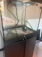 JUWEL LIDO 200 LED + MEUBEL INCL GARANTIE, Ophalen, Zo goed als nieuw, Leeg aquarium