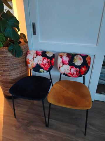 Super gave eetkamerstoelen opnieuw bekleed van oud is nieuw  beschikbaar voor biedingen