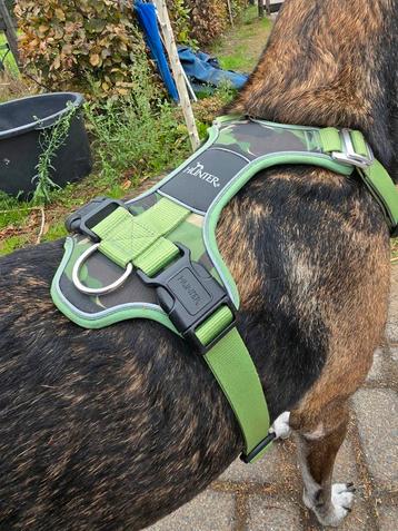 Hunter tuig divo camouflage beschikbaar voor biedingen