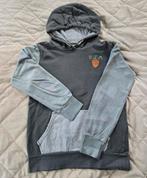 Hoodie Vingino jongens maat 14/164, Ophalen of Verzenden, Zo goed als nieuw, Jongen, Trui of Vest