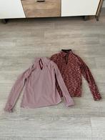 Ski pully protest 2 stuks, Ophalen of Verzenden, Zo goed als nieuw, Overige typen