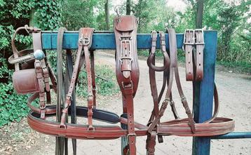 🔴 ZGAN BRUIN CHIQUE COB-MAAT ENKELSPAN TUIG 200 €  🔴  beschikbaar voor biedingen