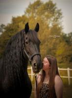 Hulp aangeboden bij training!verzorging van paarden ervaren, Ophalen, Nieuw, Dressuur