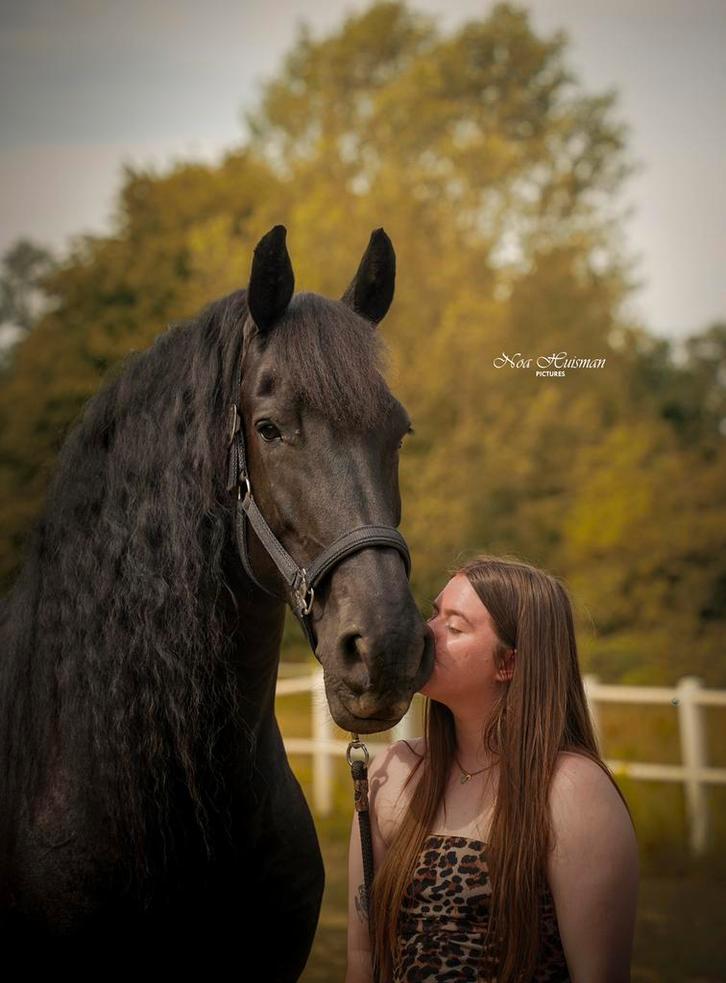 Hulp aangeboden bij training!verzorging van paarden ervaren, Dieren en Toebehoren, Paarden en Pony's | Overige Paardenspullen