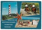Westerschouwen Haamstede Renesse Ansichtkaart (B2439), Ophalen of Verzenden, 1980 tot heden, Gelopen, Noord-Brabant