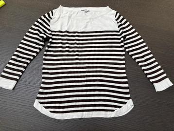 max mara truitje 36-38-40 beschikbaar voor biedingen