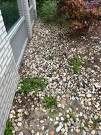 Gratis Zwerfkeien Afhalen, Tuin en Terras, Grind, Keien en Split, Ophalen, Overige materialen, Gebruikt, Kei
