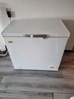 Vrieskist - 197 L, Witgoed en Apparatuur, Vrieskist, Gebruikt, Ophalen, 85 tot 120 cm