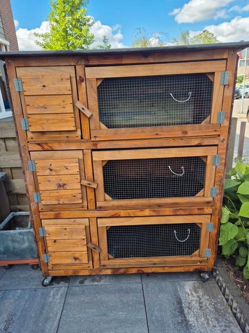 Cavia of dwergkonijnen flat, Dieren en Toebehoren, Knaagdieren en Konijnen | Hokken en Kooien, Zo goed als nieuw, Hok, 90 cm of meer