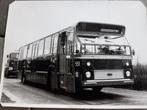 foto standaard stadsbus 551 Hainje, Ophalen of Verzenden, Zo goed als nieuw, Bus of Metro, Kaart of Prent