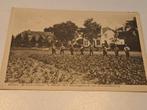 Opende, wilhelminahoeve, fotokaart, Verzamelen, Ansichtkaarten | Nederland, Ophalen of Verzenden