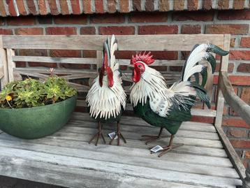 Nieuw leuke set levensgrote metalen kippen hanen beschikbaar voor biedingen