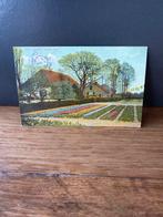 Ansicht haarlem, Ophalen of Verzenden, Voor 1920, Noord-Holland