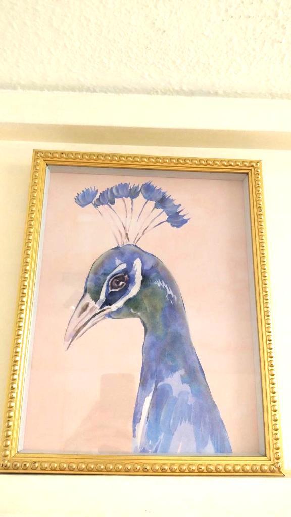 Framed wanddecoratie – aquarelstijl pauw, Huis en Inrichting, Woonaccessoires | Wanddecoraties, Zo goed als nieuw, Ophalen of Verzenden