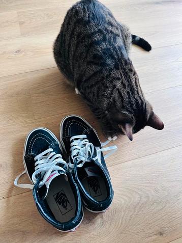 Black Vans Shoes – Size 37, Worn Only Once beschikbaar voor biedingen