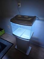 superfish aquarium, Dieren en Toebehoren, Ophalen