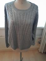 NIEUWE NUKUS Trui in zilvergrijs maat xl., Kleding | Dames, Maat 46/48 (XL) of groter, Nieuw, Ophalen of Verzenden, Grijs