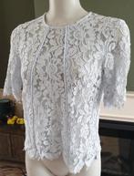 YAS lieflijk blauwe kanten top S 36 topje | Gratis Verzenden, Zo goed als nieuw, Korte mouw, Maat 36 (S), YAS