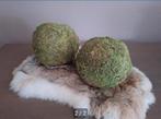 2 Kunst Mosballen - Decoratie, Ophalen of Verzenden, Zo goed als nieuw