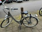 Batavus Pedova Elektrische Fiets, Ophalen, Gebruikt, Batavus, 51 tot 55 cm