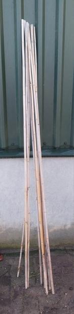 Gebruikte bamboestokken | enkele duizenden beschikbaar, Ophalen, Gebruikt, Overige typen