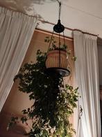 Mooie planten hanger, Ophalen of Verzenden