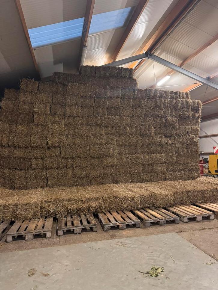 Kleine tarwe stropakken eventueel breng mogelijkheid, Dieren en Toebehoren, Stalling en Weidegang, Toebehoren