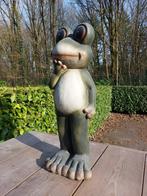 (Tuin)Beeld Kikker, eye catcher, tuin, vijver, gazon 58cm, Ophalen, Nieuw, Kunststof, Dierenbeeld