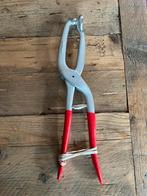 Knobbeltang, Kleding | Dames, Overige Dameskleding, Ophalen of Verzenden, Zo goed als nieuw