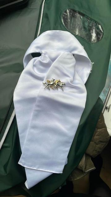 Plastron + spelt beschikbaar voor biedingen
