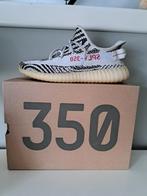 Yeezy boost 350 v2 Zebra, Kleding | Heren, Gedragen, Ophalen of Verzenden, Wit, Sneakers of Gympen