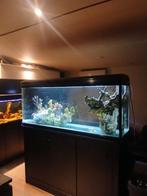 Zee look aquarium 1,50cm, Ophalen, Zo goed als nieuw, Gevuld zoetwateraquarium