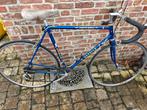 Gazelle champion mondial koersfiets maat 56, Fietsen en Brommers, Ophalen, 10 tot 15 versnellingen, Gazelle, 53 tot 56 cm