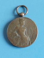 Penning buitenlandse journalisten 1898 J.C. Wienecke, Ophalen of Verzenden, Brons, Nederland