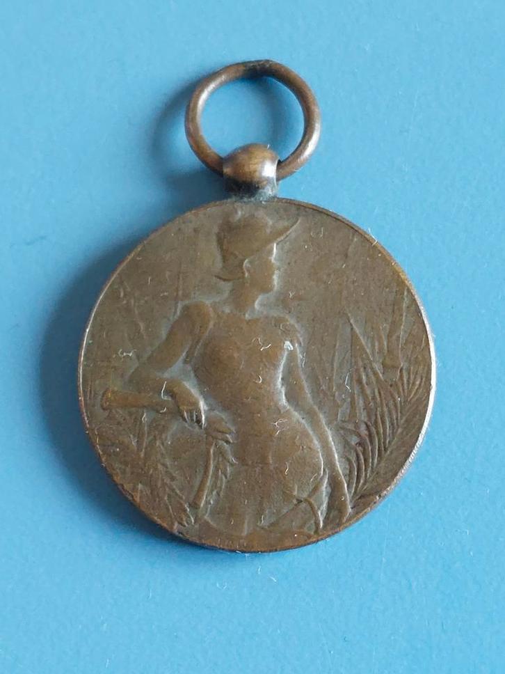 Penning buitenlandse journalisten 1898 J.C. Wienecke, Postzegels en Munten, Penningen en Medailles, Brons, Nederland, Ophalen of Verzenden