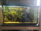 Aquarium 75x35x40 (105 Liter) incl toebehoren, Dieren en Toebehoren, Vissen | Aquaria en Toebehoren, Ophalen, Gebruikt, Leeg aquarium