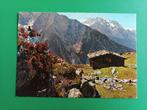 3.25. Mayrhofen, Ahornbahn. Oostenrijk, Verzenden, Gelopen, Oostenrijk