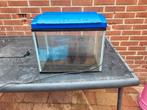 Mooie maar gebruikte 20L aquarium, Ophalen, Zo goed als nieuw, Leeg aquarium