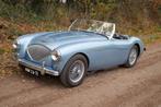 1955 Austin Healey 100/4 – Originele Le Mans Conversion Kit, Achterwielaandrijving, 4 cilinders, Cabriolet, Blauw