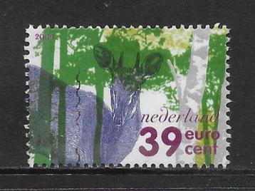 2004, Veluwe, Ree [2282c] (K2604) beschikbaar voor biedingen