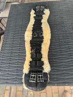 BR bont singel 65 cm, Dieren en Toebehoren, Ophalen of Verzenden, Gebruikt, Dressuur