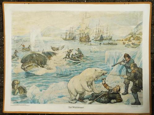 Oude schoolplaat met de Walvischvaart bij Spitsbergen, Antiek en Kunst, Antiek | Schoolplaten, Geschiedenis, Ophalen of Verzenden