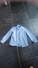 Tommy hilfiger blouse, Ophalen of Verzenden, Zo goed als nieuw, Overige maten, Blauw