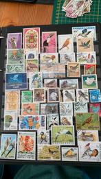 Mooie postzegels vogels, Verzenden, Dier of Natuur