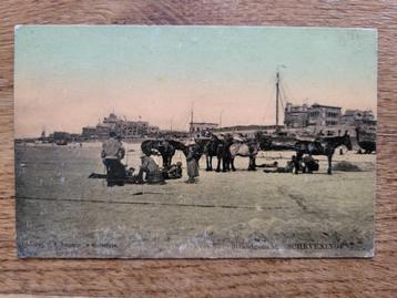 ansicht SCHEVENINGEN Tulpkaart Strandgezicht 1900 beschikbaar voor biedingen