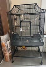 Vogelkooi op wieltjes, Dieren en Toebehoren, Ophalen of Verzenden, Zo goed als nieuw, Metaal, Vogelkooi