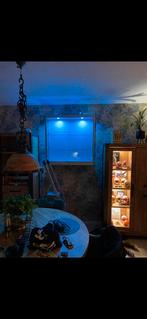 Vitrine kast, Ophalen, 100 tot 150 cm, 100 tot 150 cm, Glas