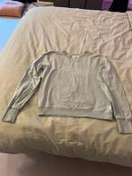 Trui Sting, Ophalen of Verzenden, Zo goed als nieuw, Maat 34 (XS) of kleiner