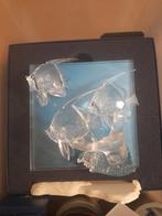 Wonders of the sea, vissen., Verzamelen, Swarovski, Ophalen, Zo goed als nieuw